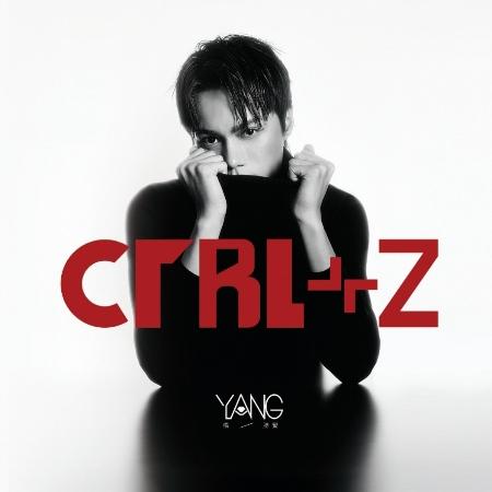 楊勝賢 / 《CTRL+Z》
