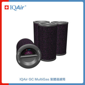 IQAir GC MultiGas 氣體過濾筒