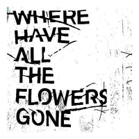 查無此人 / Where Have All the Flowers Gone (平裝版)