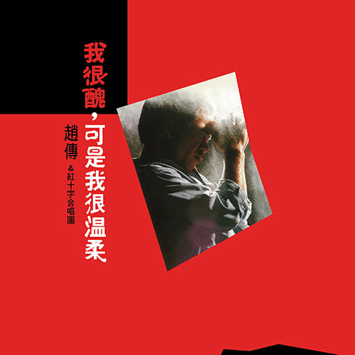 趙傳 / 我很醜，可是我很溫柔『經典黑膠』