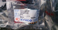 KYMCO 1541A-LEH6-E00 Element ASSY Oil Filter for XCITING 400i ABS